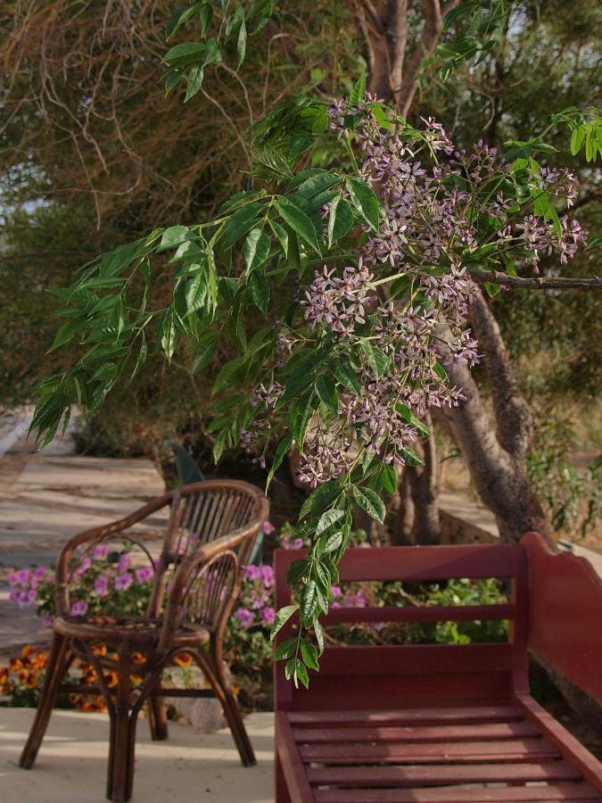 Flower And Crafts - The Eco Nature House モノリソス エクステリア 写真