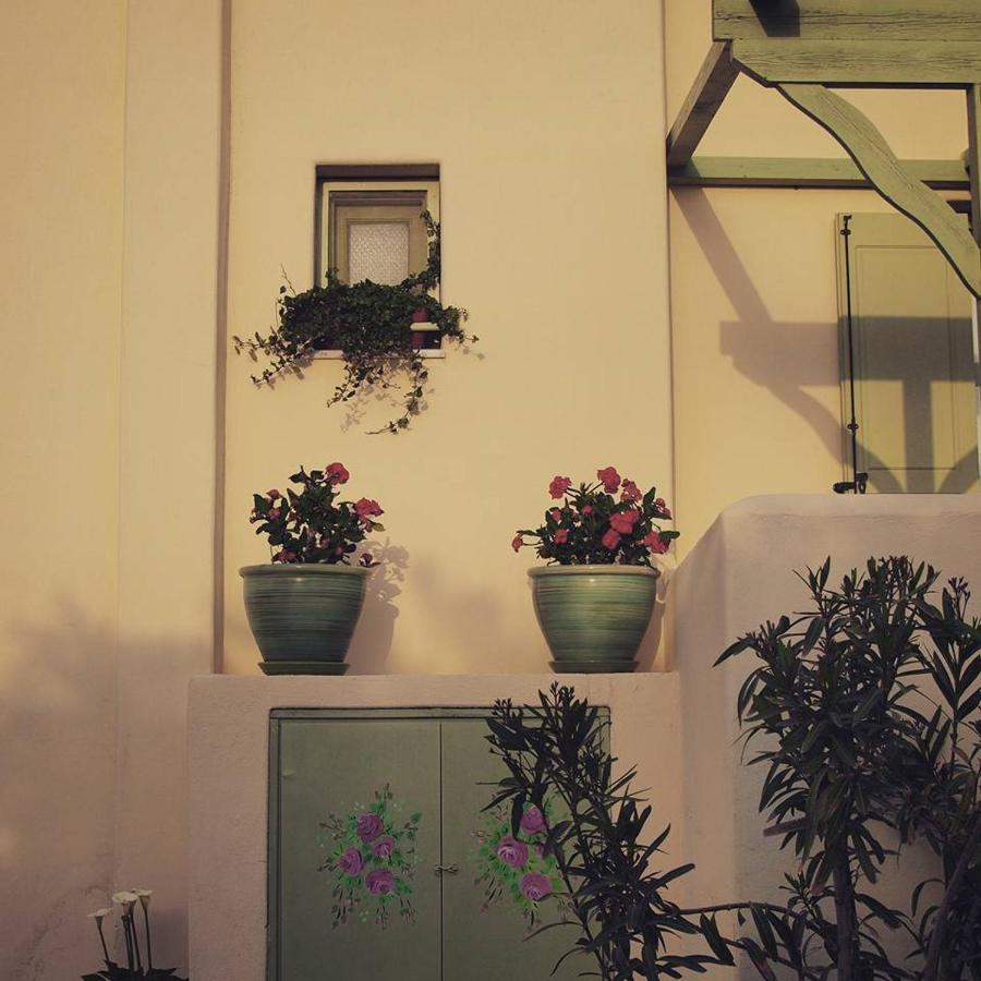 Flower And Crafts - The Eco Nature House モノリソス エクステリア 写真